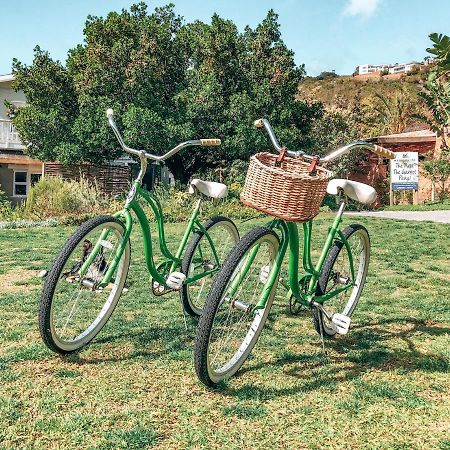 The Nest Villa Knysna Bagian luar foto